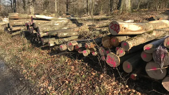 Brennholzpolter am Wegesrand